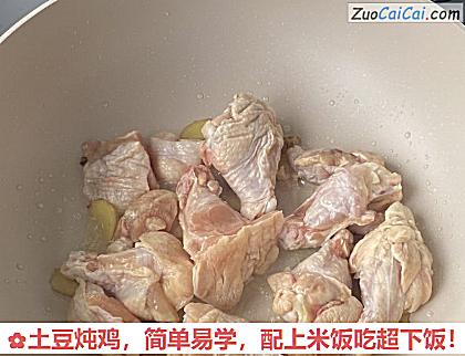 土豆炖鸡做法第三步骤