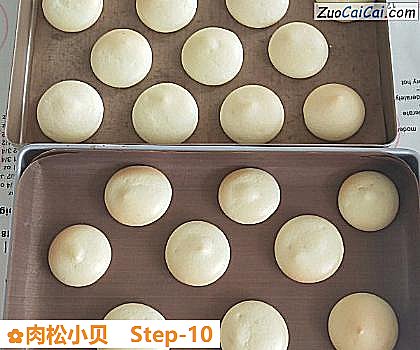肉松小贝做法第十步骤