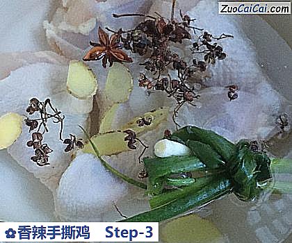 香辣手撕鸡做法第三步骤