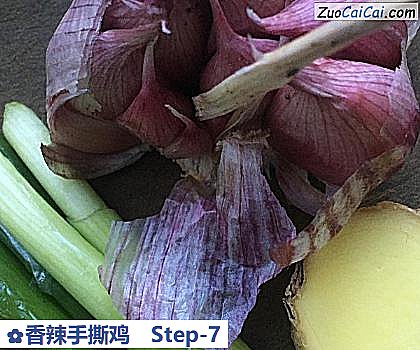 香辣手撕鸡做法第七步骤