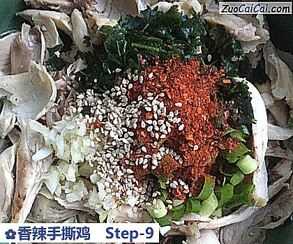 香辣手撕鸡做法第九步骤