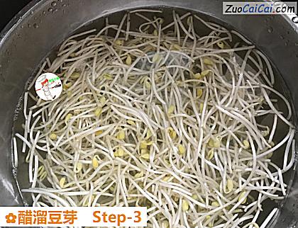 醋溜豆芽做法第三步骤