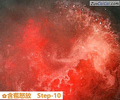 含苞怒放做法第十步骤