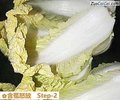 含苞怒放做法第二步骤