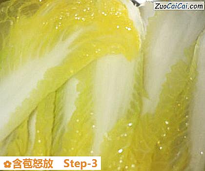 含苞怒放做法第三步骤