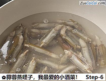 蒜蓉蒸蛏子做法第六步骤