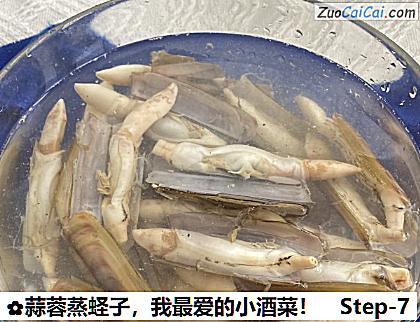 蒜蓉蒸蛏子做法第七步骤