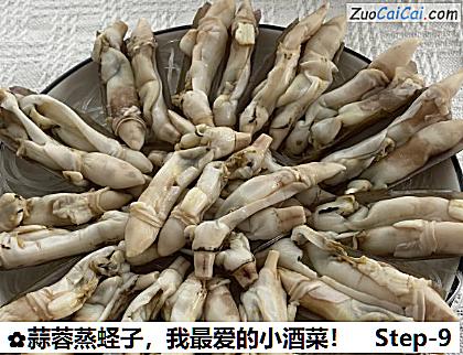 蒜蓉蒸蛏子做法第九步骤