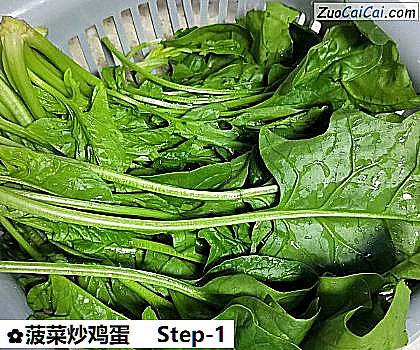 菠菜炒鸡蛋做法第一步骤