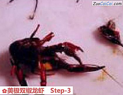 美极双椒龙虾做法第三步骤