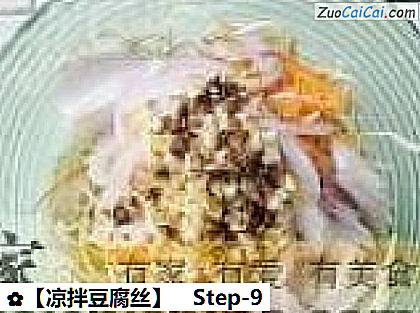 凉拌豆腐丝做法第九步骤