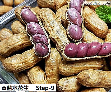 盐水花生做法第九步骤