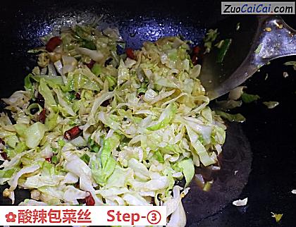 酸辣包菜丝做法第三步骤