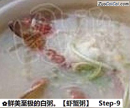 虾蟹粥成品图2