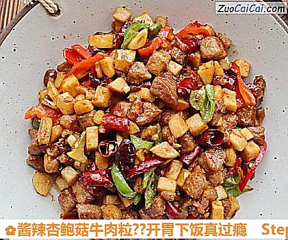 酱辣杏鲍菇牛肉粒?开胃下饭真过瘾做法第十一步骤