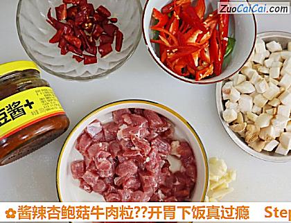 酱辣杏鲍菇牛肉粒?开胃下饭真过瘾做法第三步骤