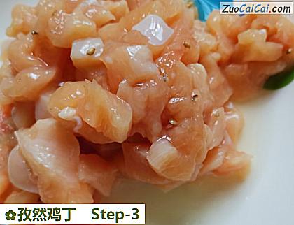 孜然鸡丁做法第三步骤