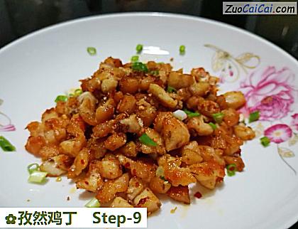 孜然鸡丁做法第九步骤