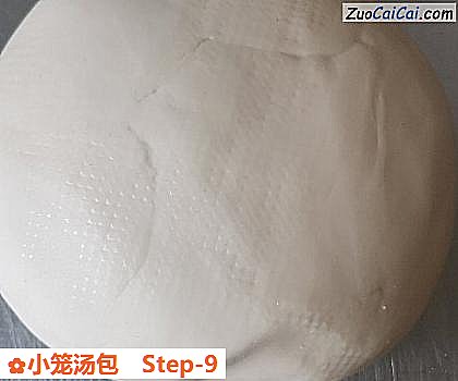 小笼汤包做法第九步骤
