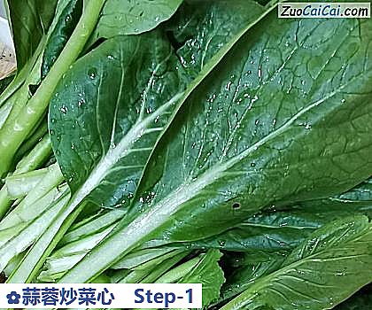 蒜蓉炒菜心做法第一步骤