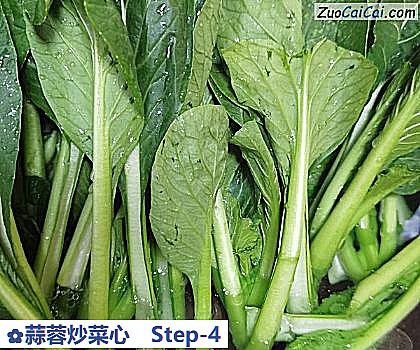 蒜蓉炒菜心做法第四步骤