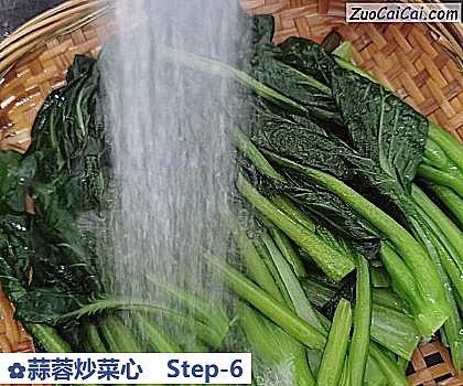 蒜蓉炒菜心做法第六步骤