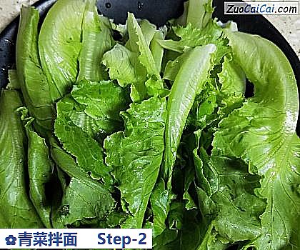 青菜拌面做法第二步骤