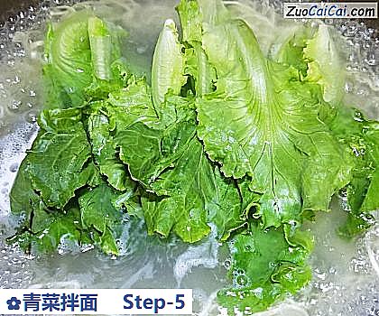 青菜拌面做法第五步骤
