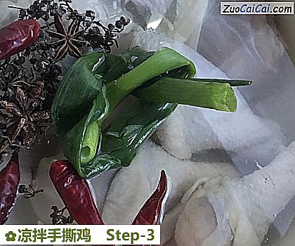 凉拌手撕鸡做法第三步骤