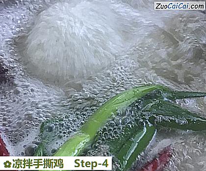 凉拌手撕鸡做法第四步骤