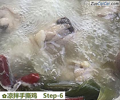 凉拌手撕鸡做法第六步骤