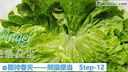 期待春天——熊猫便当做法第十二步骤