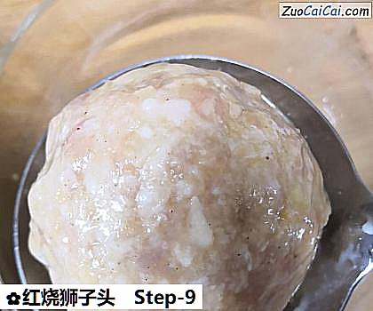 红烧狮子头做法第九步骤
