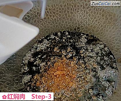 红焖肉做法第三步骤