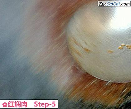 红焖肉做法第五步骤
