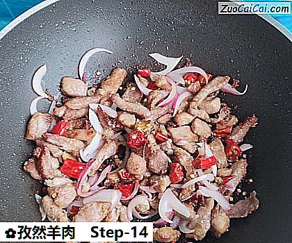 孜然羊肉做法第十四步骤