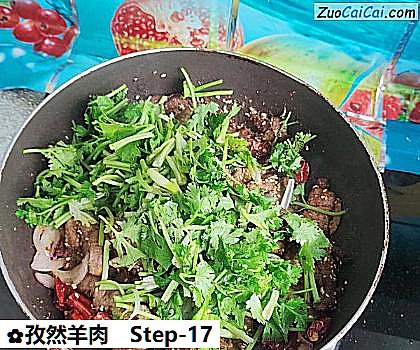 孜然羊肉做法第十七步骤