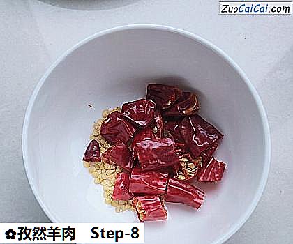 孜然羊肉做法第八步骤
