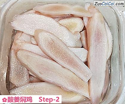 酸姜焖鸡做法第二步骤