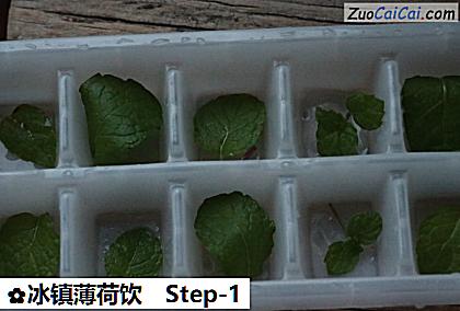 冰镇薄荷饮做法第一步骤