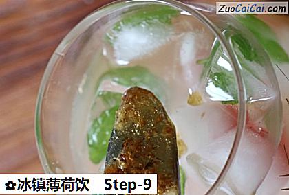 冰镇薄荷饮做法第九步骤