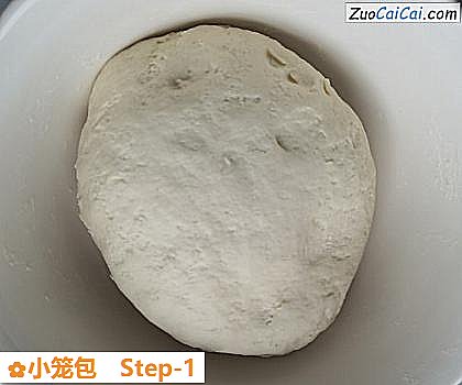 小笼包做法第一步骤