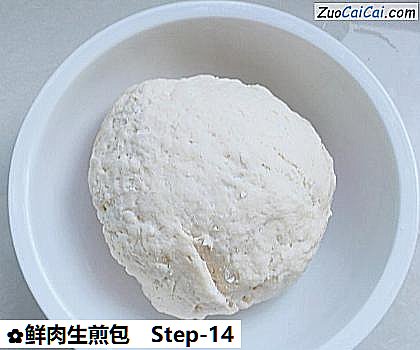 鲜肉生煎包做法第十四步骤