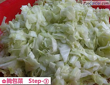 腌包菜做法第三步骤