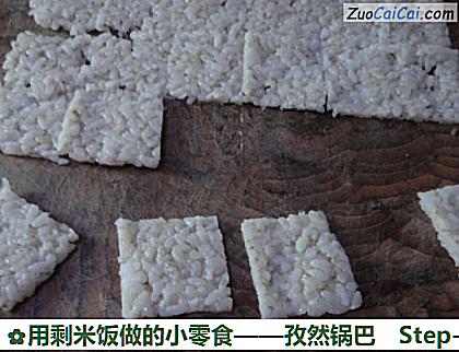 用剩米饭做的小零食做法第五步骤
