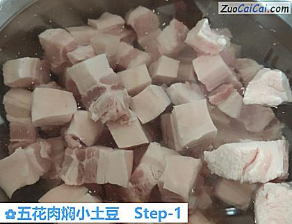 五花肉焖小土豆做法第一步骤