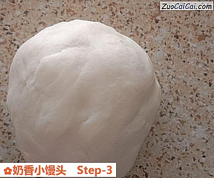 奶香小馒头做法第三步骤