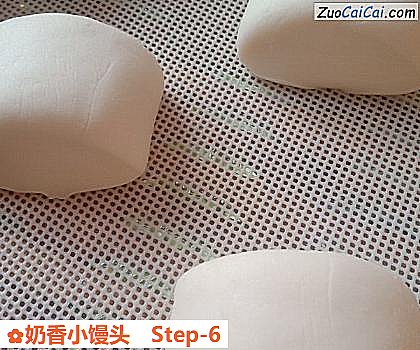 奶香小馒头做法第六步骤