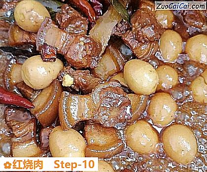 红烧肉做法第十步骤