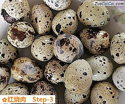 红烧肉做法第三步骤